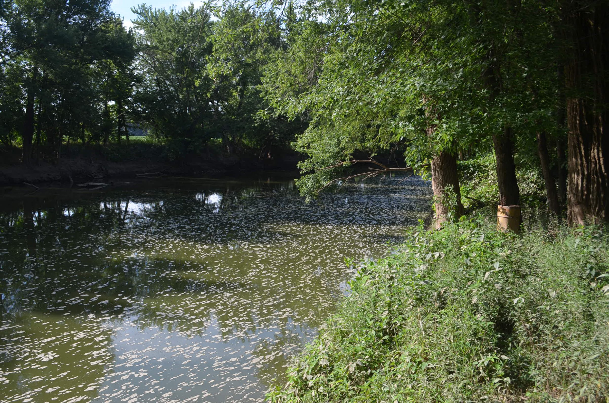Property photo 32 - REAL ESTATE AUCTION - 26+/- ACRES IN 3 TRACTS IN SOUTHWEST ALLEN COUNTY, INDIANA